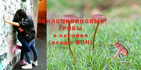 герыч Алексин