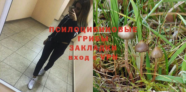 сатива Алзамай