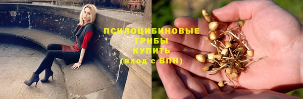 бошки Нязепетровск