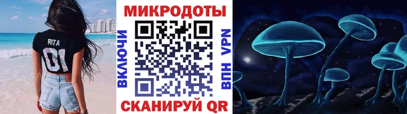 Псилоцибиновые грибы Psilocybine cubensis Сасово